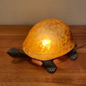 Vintage Turtle Shell lamp